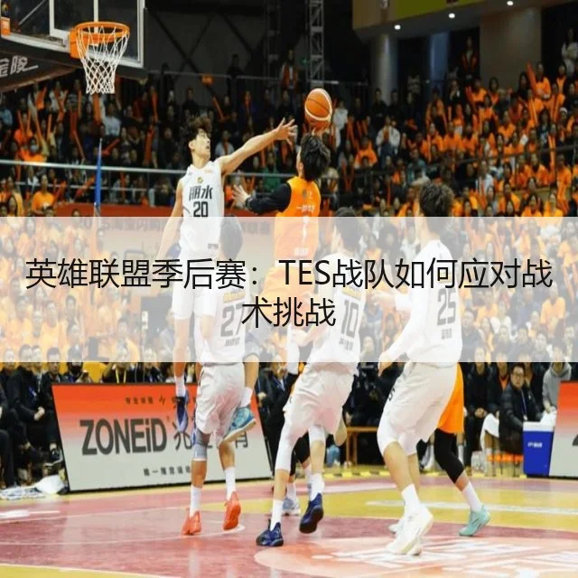 英雄联盟季后赛:TES战队如何应对战术挑战